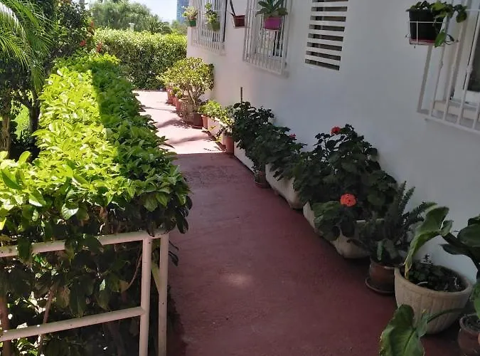 Benirelax Apartmán *